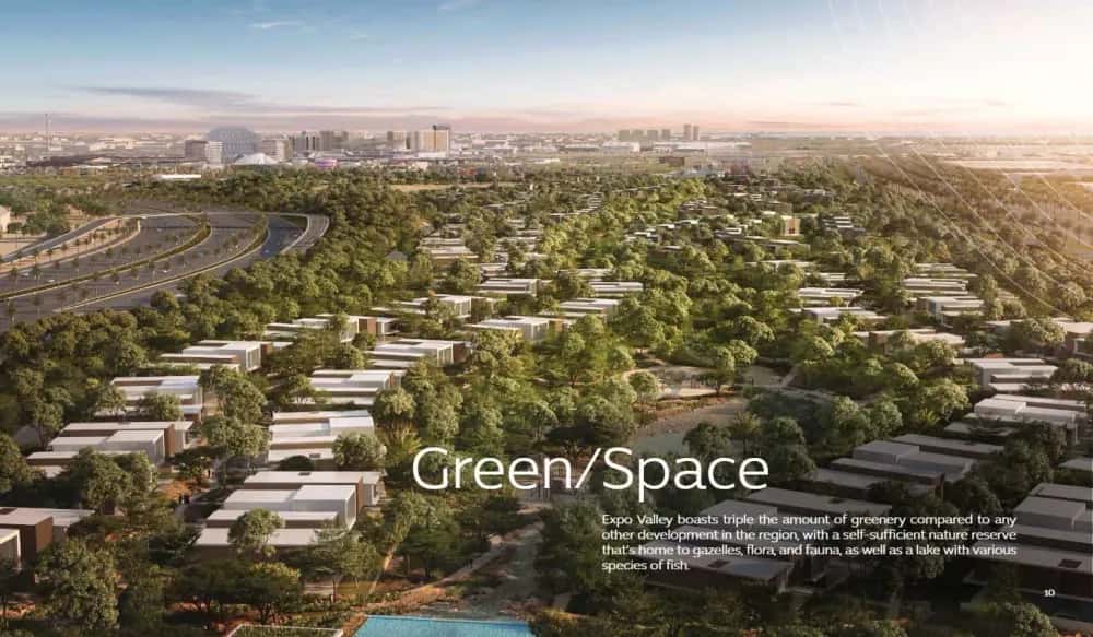 Expo City Valley — main photo