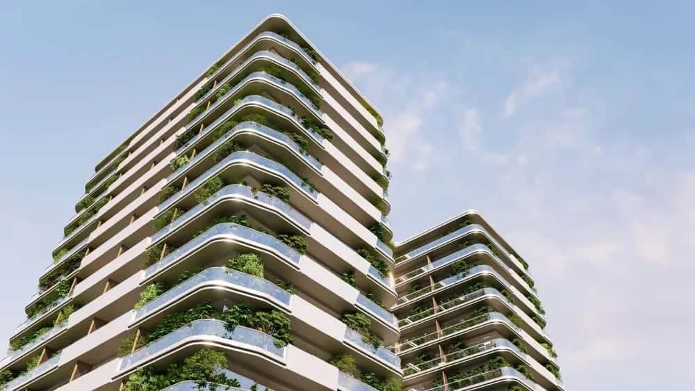 Forest City — main photo