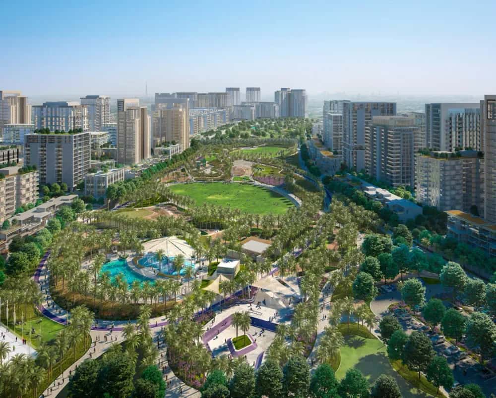 Lime Gardens — main photo