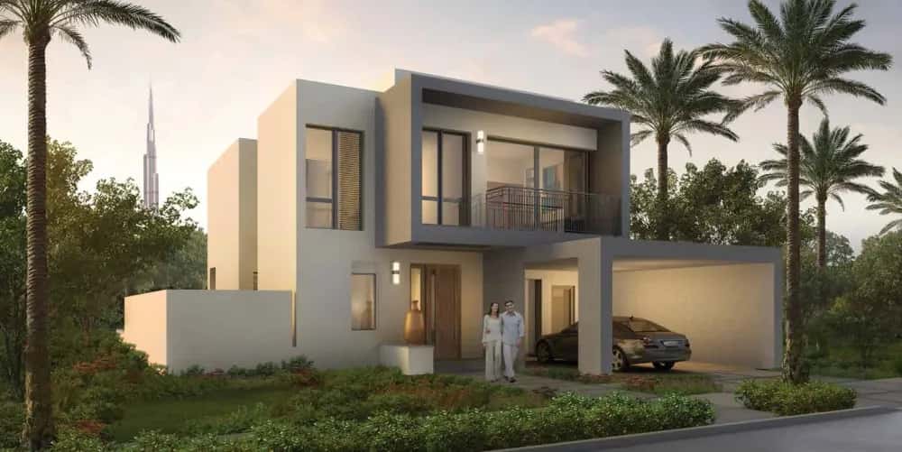 Sidra — main photo