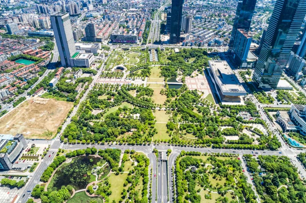 Why Dubai land plots are attracting serious investor capital