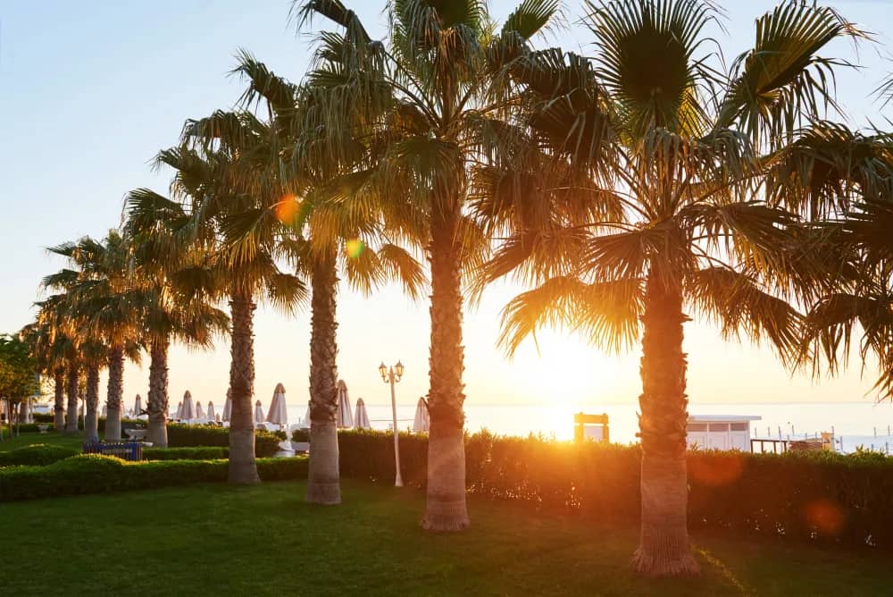Why Dubai's summer property market favours buyers
