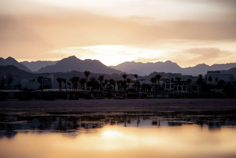 Palm Jebel Ali: what the community actually looks like to live in